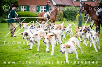 13 - Damenjagd Gut Bsthorst