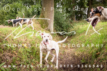 14 - Jagd Basthorst 14 - Jagd Basthorst