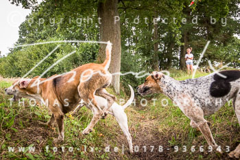 14 - Jagd Basthorst 14 - Jagd Basthorst