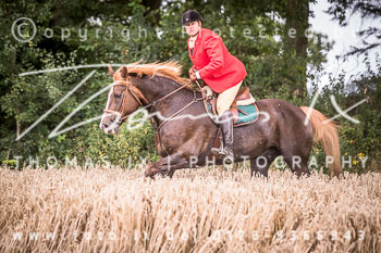 14 - Jagd Basthorst 14 - Jagd Basthorst