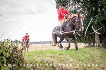14 - Jagd Basthorst 14 - Jagd Basthorst