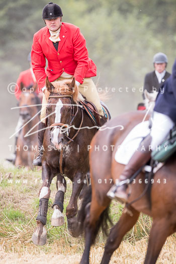 14 - Jagd Basthorst 14 - Jagd Basthorst