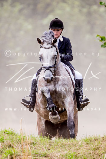 14 - Jagd Basthorst 14 - Jagd Basthorst