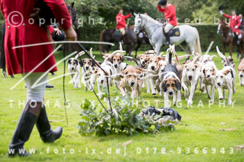 14 - Jagd Basthorst 14 - Jagd Basthorst