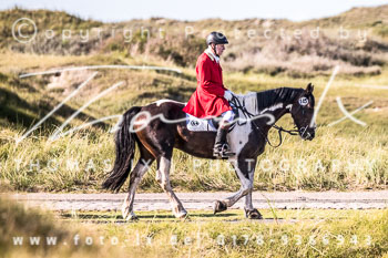 16 Jagd Norderney 16 Jagd Norderney