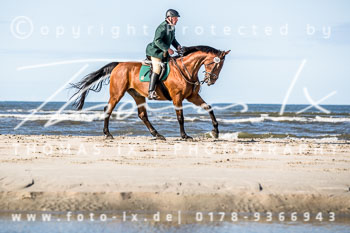 16 Jagd Norderney 16 Jagd Norderney