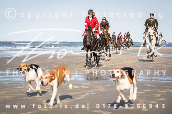 16 Jagd Norderney