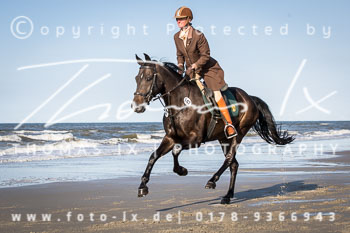 16 Jagd Norderney 16 Jagd Norderney
