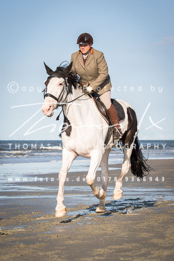16 Jagd Norderney 16 Jagd Norderney