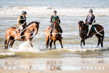 16 Jagd Norderney
