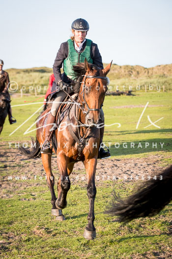 16 Jagd Norderney