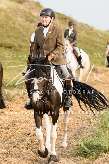 17 - Hundearbeit Norderney