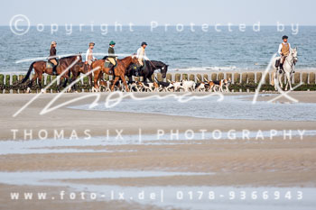 17 - Hundearbeit Norderney