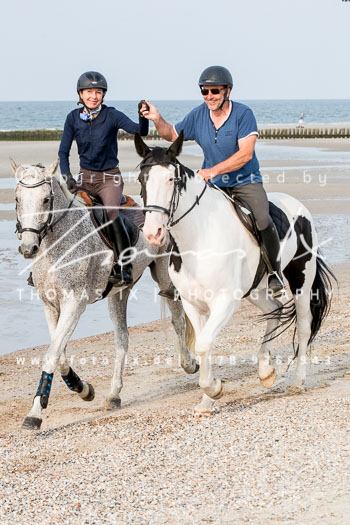 17 - Hundearbeit Norderney 17 - Hundearbeit Norderney
