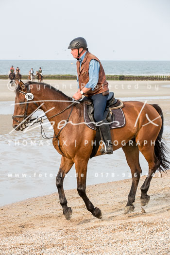 17 - Hundearbeit Norderney 17 - Hundearbeit Norderney