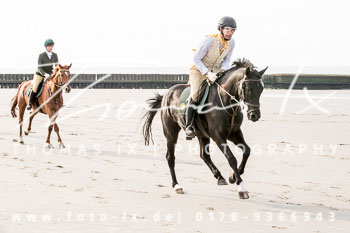 17 - Hundearbeit Norderney 17 - Hundearbeit Norderney