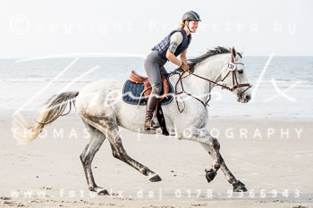 17 - Hundearbeit Norderney