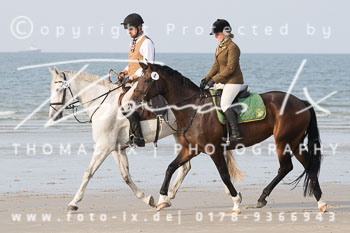 17 - Hundearbeit Norderney 17 - Hundearbeit Norderney