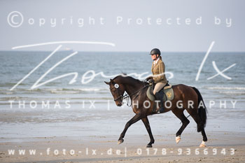 17 - Hundearbeit Norderney