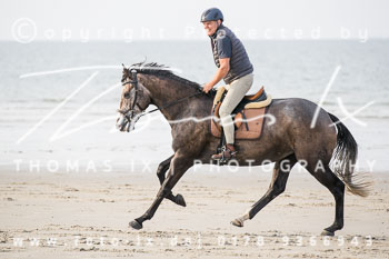 17 - Hundearbeit Norderney