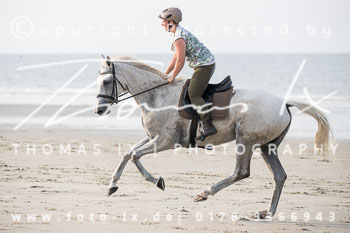 17 - Hundearbeit Norderney 17 - Hundearbeit Norderney