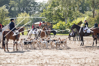 19 - Jugendjagd Basthorst 19 - Jugendjagd Basthorst