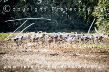 19 - Jugendjagd Basthorst