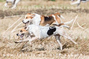 19 - Jugendjagd Basthorst 19 - Jugendjagd Basthorst