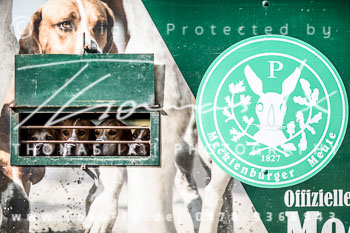 20 - Hammerjagd Tegelhof Rügen