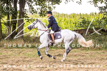 20 - Hammerjagd Tegelhof Rügen