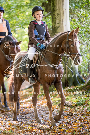 23 - Jagd Bothkamp 23 - Jagd Bothkamp