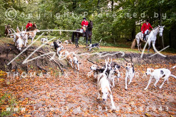 23 - Jagd Bothkamp 23 - Jagd Bothkamp