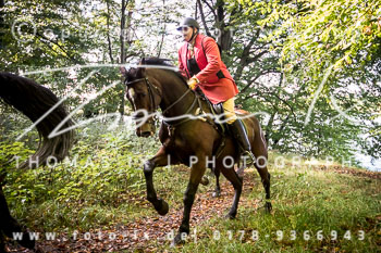 23 - Jagd Bothkamp 23 - Jagd Bothkamp