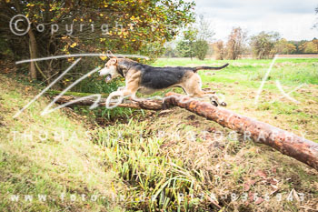 26 - Schleppjagd Untergut Grabow