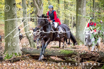 27 - Jagd Neuhardenberg