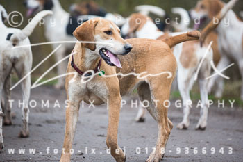 02 - Meutearbeit Bothkamp