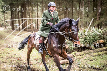 04 - Jagd Rehrhof 04 - Jagd Rehrhof