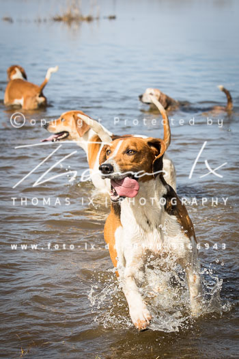 05 - Jagd Langendorf