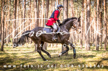 06 - Jagd Seedorf 06 - Jagd Seedorf