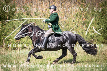 06 - Jagd Seedorf 06 - Jagd Seedorf