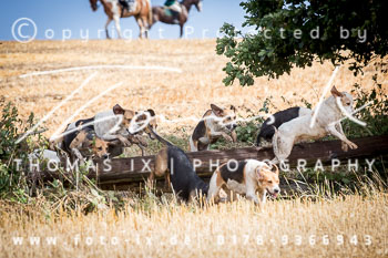 10 - Jagd Gut Knoop - Kiel