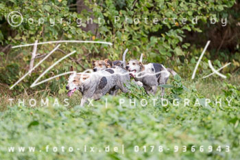 12 - Damenjagd Gut Basthorst 12 - Damenjagd Gut Basthorst