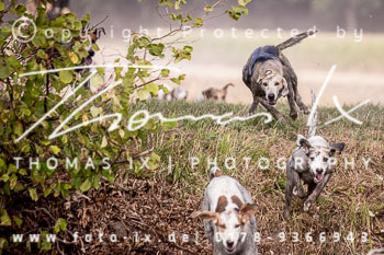 12 - Damenjagd Gut Basthorst