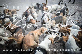 12 - Damenjagd Gut Basthorst