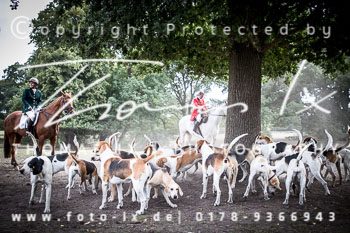 13 - Jagd Rohlfshagen