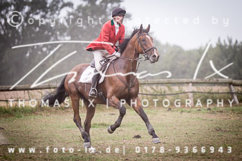 13 - Jagd Rohlfshagen