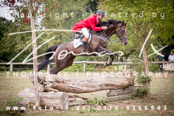 13 - Jagd Rohlfshagen