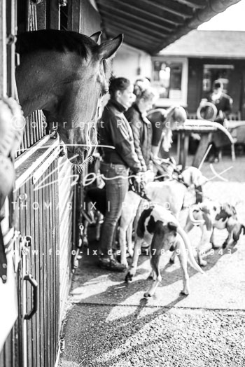 02 - Hubertusmesse & Meutetraining