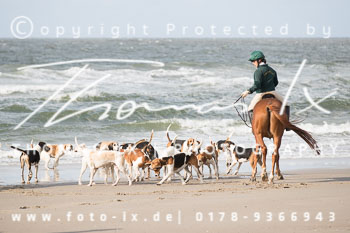 02 - Hubertusmesse & Meutetraining