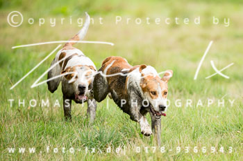 17 Jugendjagd Basthorst 17 Jugendjagd Basthorst